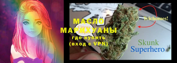 2c-b Горнозаводск