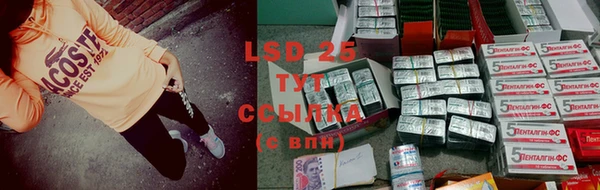 2c-b Горнозаводск