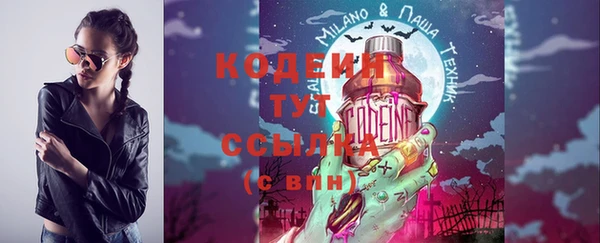2c-b Горнозаводск