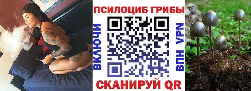 ссылка на мегу   купить наркотики сайты  Щёлково  Галлюциногенные грибы мухоморы 